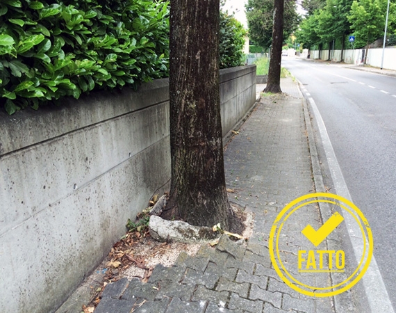 Aiuole o marciapiedi?